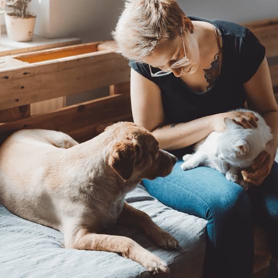Pet Care